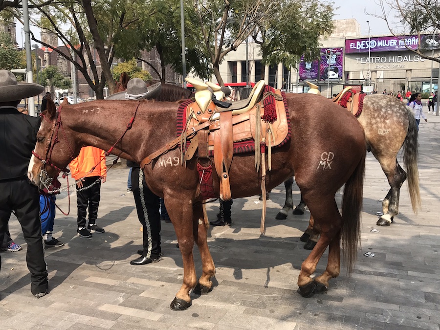 Mexico City